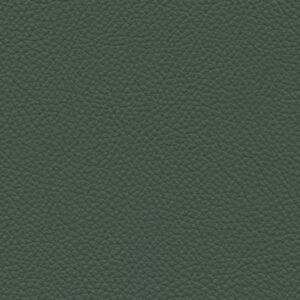 Shelly Lichen 9028