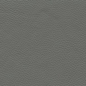 Shelly Moon Mist 9049