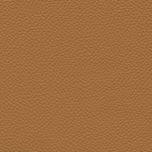 Shelly Parchment 9010