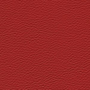 Shelly Poppy 9041