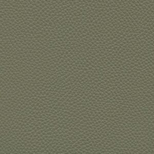 Shelly Thyme Green 9027