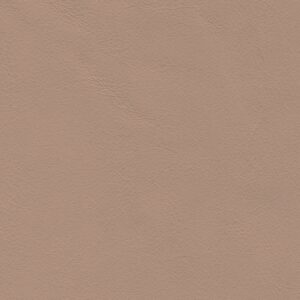 Troon Beige-208