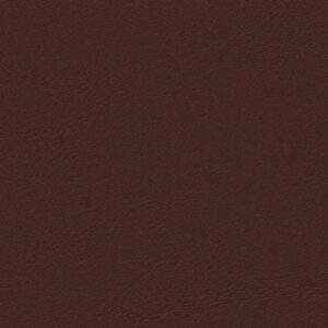 Troon Castoro-203