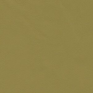 Troon Pistachio-TRN115