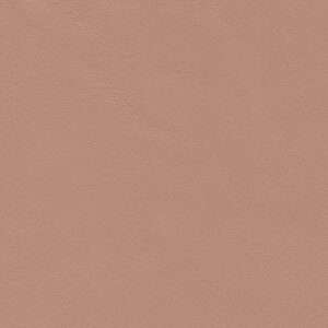 Troon Rose-221