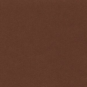 Troon Tan-8560