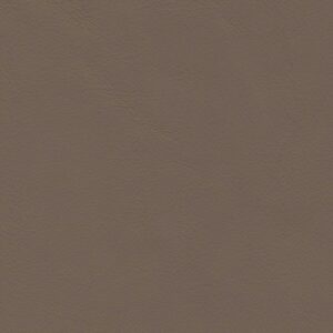 Troon Taupe-218