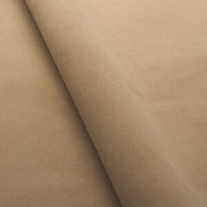 Sahara 0166
