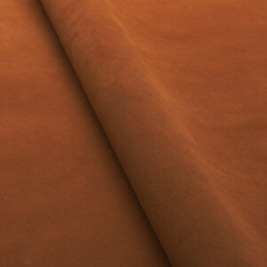 Sahara 0307