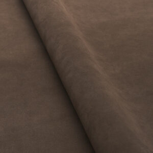 Sahara 03148