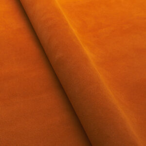 Sahara 0511