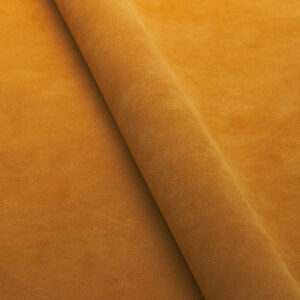Sahara 0537