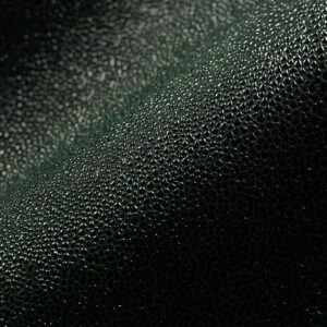 Stingray Collection S6058