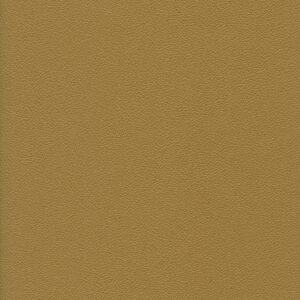 Galle II Parchment 34
