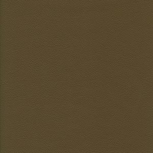 Galle II Sage 37