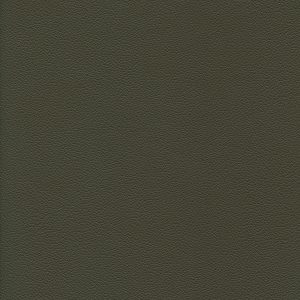 Galle II Bark 38