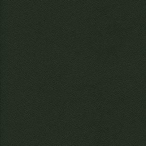Galle II Forest Green 39